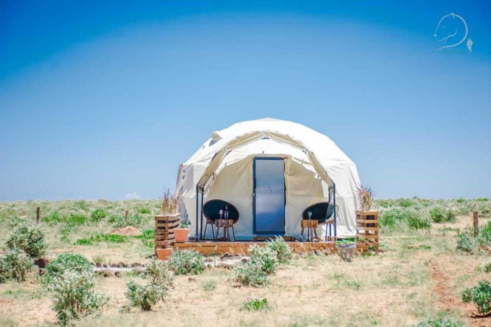 Amanya 1-Bed Leopard Tent