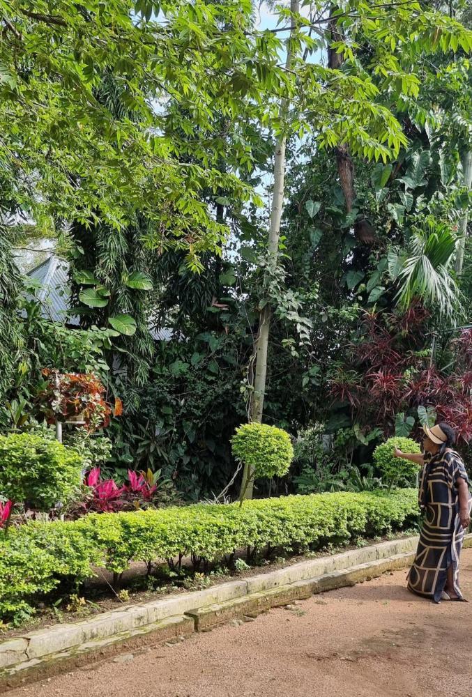 Botanic Hideaway Home, 5km from Mwanza airport