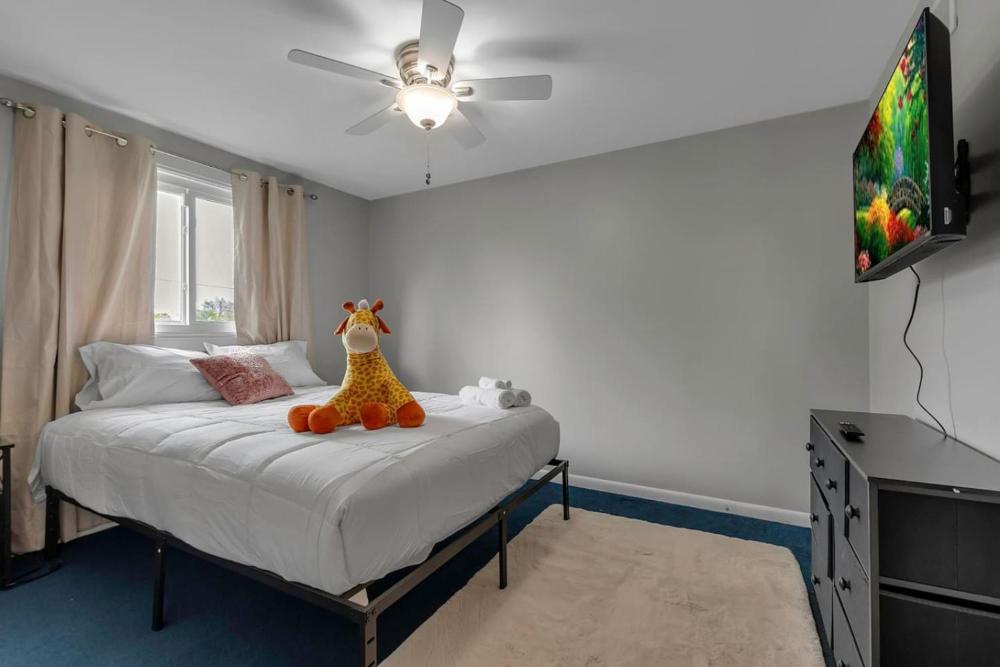 Family Fun Pool Central Airport