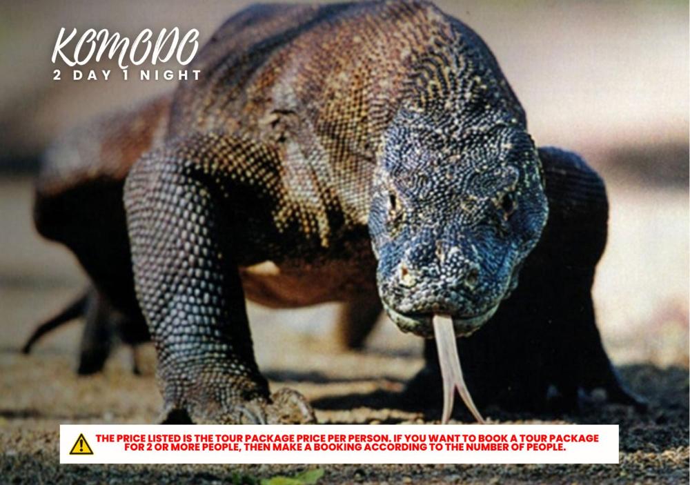 Komodo Tour 2D1N