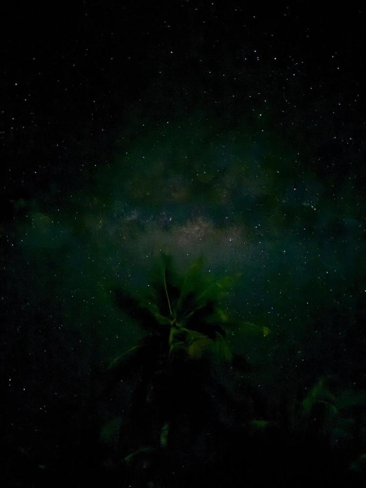 Maupiti Bambou Camping