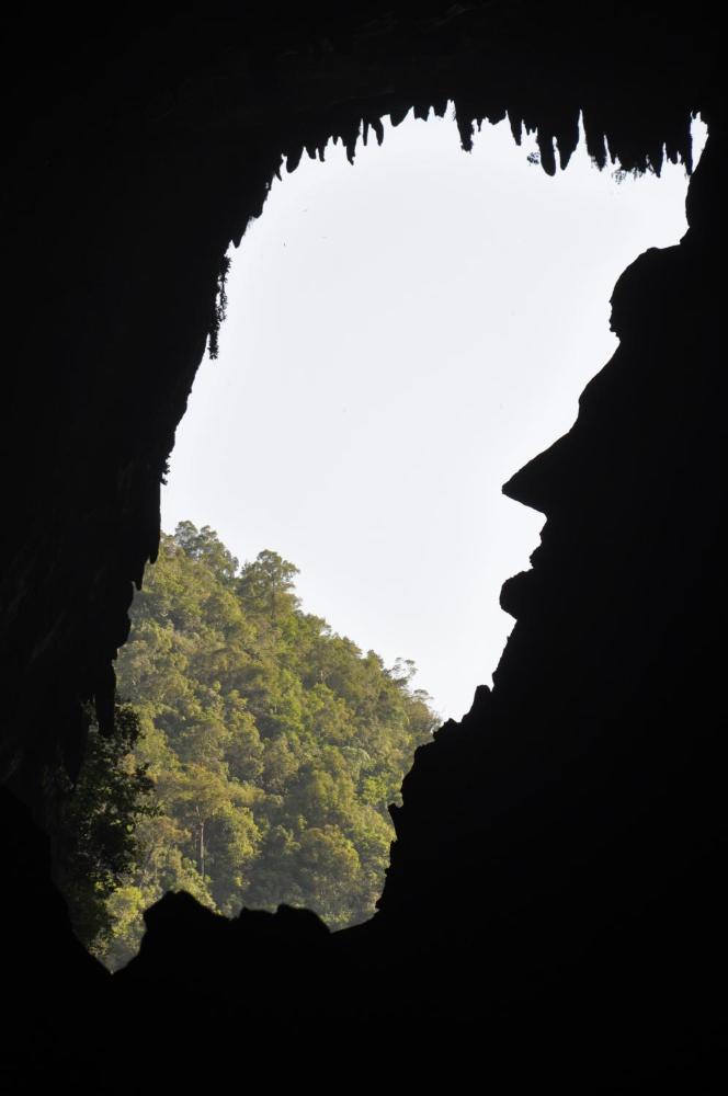 Mulu National Park