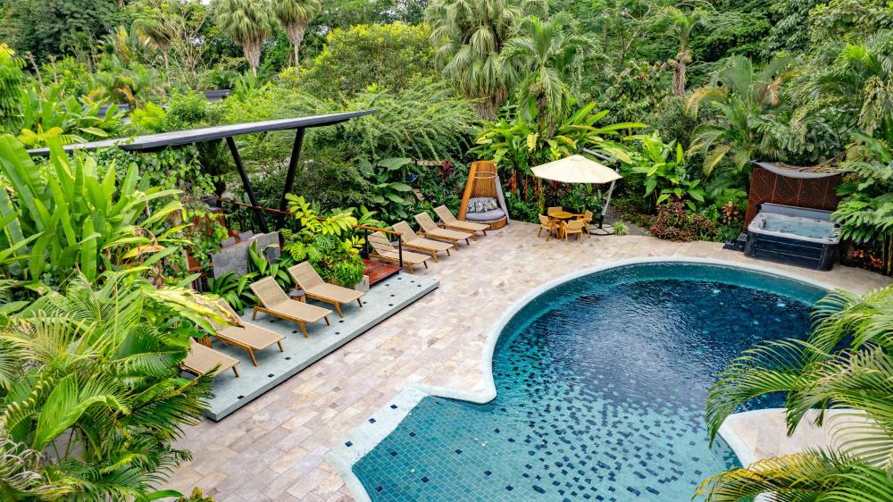 Noah's Forest Hotel by Tifakara